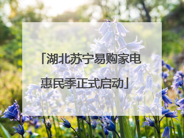 湖北苏宁易购家电惠民季正式启动