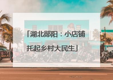湖北郧阳：小店铺托起乡村大民生
