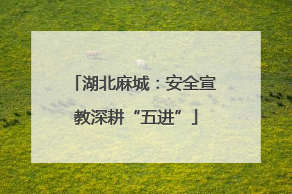 湖北麻城：安全宣教深耕“五进”