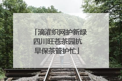 滴灌织网护新绿 四川旺苍茶园抗旱保茶管护忙