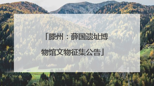 滕州：薛国遗址博物馆文物征集公告