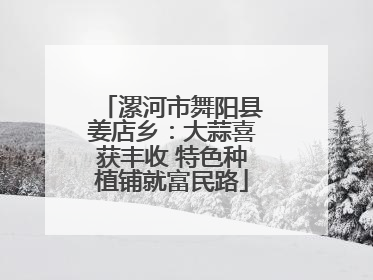 漯河市舞阳县姜店乡：大蒜喜获丰收 特色种植铺就富民路