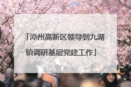 漳州高新区领导到九湖镇调研基层党建工作