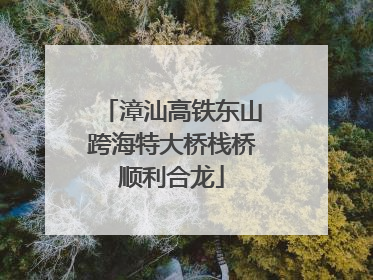 漳汕高铁东山跨海特大桥栈桥顺利合龙