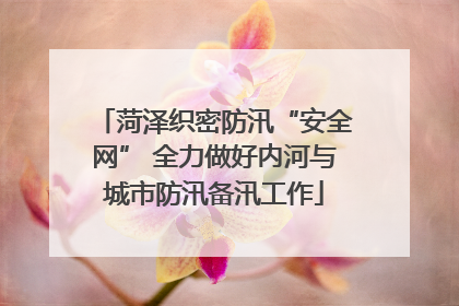 菏泽织密防汛“安全网” 全力做好内河与城市防汛备汛工作