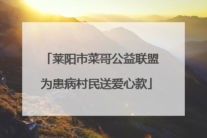 莱阳市菜哥公益联盟为患病村民送爱心款