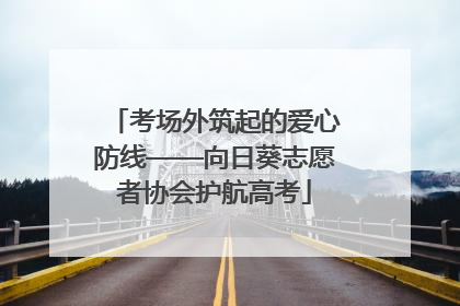 考场外筑起的爱心防线——向日葵志愿者协会护航高考
