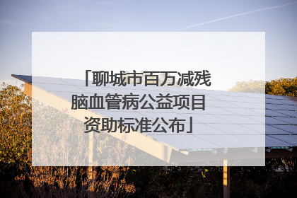 聊城市百万减残脑血管病公益项目资助标准公布