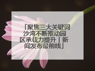 聚焦三大关键词 沙湾不断推动园区承载力提升丨新闻发布最前线