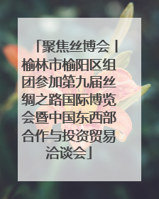 聚焦丝博会丨榆林市榆阳区组团参加第九届丝绸之路国际博览会暨中国东西部合作与投资贸易洽谈会