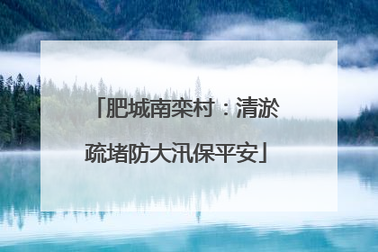 肥城南栾村：清淤疏堵防大汛保平安