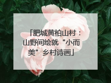 肥城黄柏山村：山野间绘就“小而美”乡村诗画