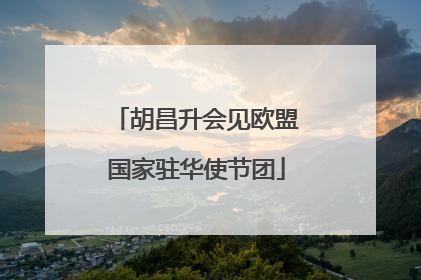 胡昌升会见欧盟国家驻华使节团