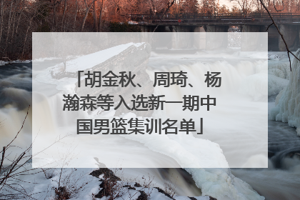 胡金秋、周琦、杨瀚森等入选新一期中国男篮集训名单