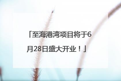 至海港湾项目将于6月28日盛大开业！