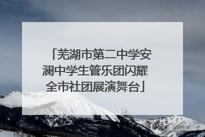 芜湖市第二中学安澜中学生管乐团闪耀全市社团展演舞台