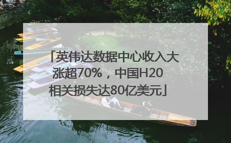 英伟达数据中心收入大涨超70%，中国H20相关损失达80亿美元