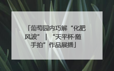 葡萄园内巧解“化肥风波”｜“天平杯·随手拍”作品展播
