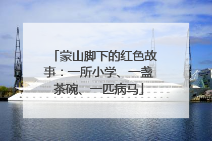蒙山脚下的红色故事：一所小学、一盏茶碗、一匹病马