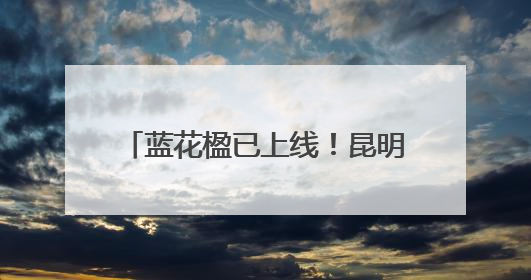 蓝花楹已上线！昆明这个地方化身“紫色梦境”，快来打卡