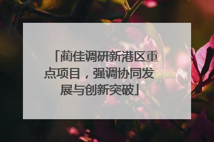 蔺佳调研新港区重点项目，强调协同发展与创新突破