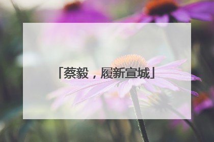 蔡毅，履新宣城