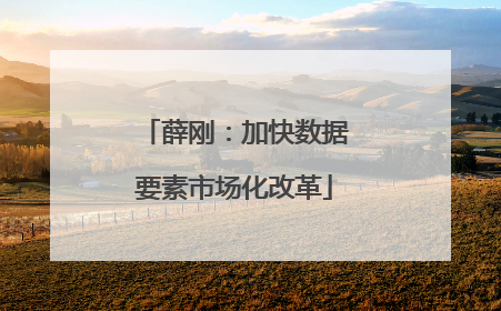 薛刚：加快数据要素市场化改革