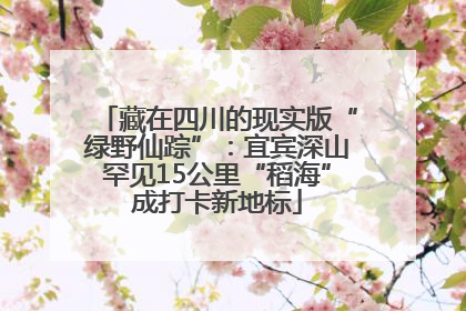藏在四川的现实版“绿野仙踪”：宜宾深山罕见15公里“稻海”成打卡新地标