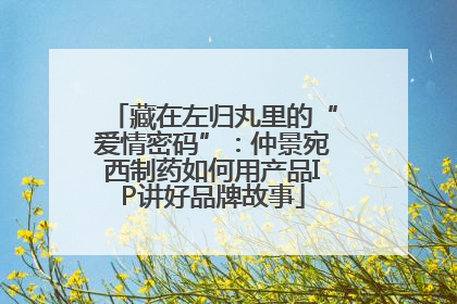 藏在左归丸里的“爱情密码”：仲景宛西制药如何用产品IP讲好品牌故事