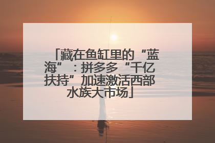藏在鱼缸里的“蓝海”：拼多多“千亿扶持”加速激活西部水族大市场