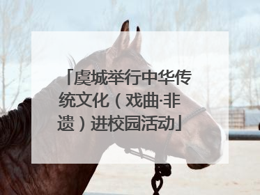 虞城举行中华传统文化（戏曲·非遗）进校园活动