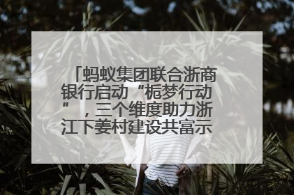 蚂蚁集团联合浙商银行启动“栀梦行动”，三个维度助力浙江下姜村建设共富示范区示范点