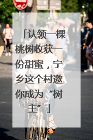 认领一棵桃树收获一份甜蜜，宁乡这个村邀你成为“树主”