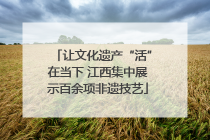 让文化遗产“活”在当下 江西集中展示百余项非遗技艺