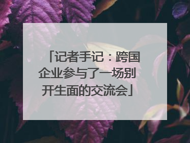 记者手记：跨国企业参与了一场别开生面的交流会