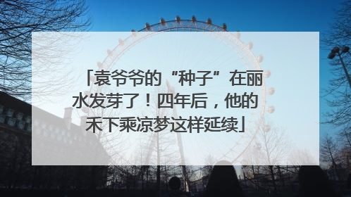 袁爷爷的“种子”在丽水发芽了！四年后，他的禾下乘凉梦这样延续