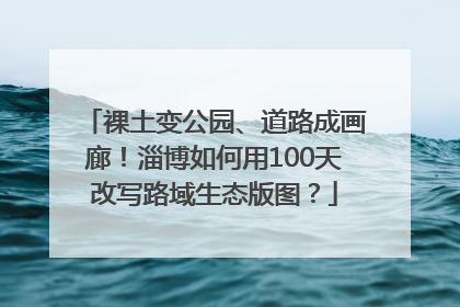 裸土变公园、道路成画廊！淄博如何用100天改写路域生态版图？