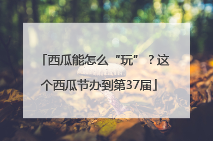 西瓜能怎么“玩”？这个西瓜节办到第37届