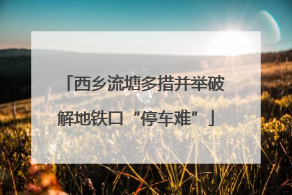 西乡流塘多措并举破解地铁口“停车难”