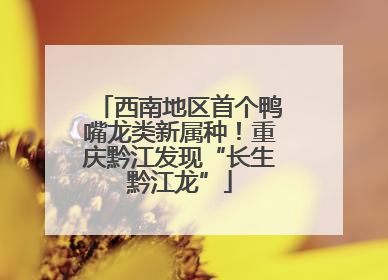 西南地区首个鸭嘴龙类新属种！重庆黔江发现“长生黔江龙”