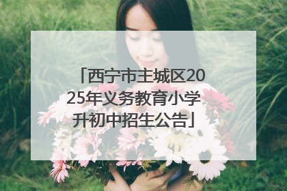 西宁市主城区2025年义务教育小学升初中招生公告