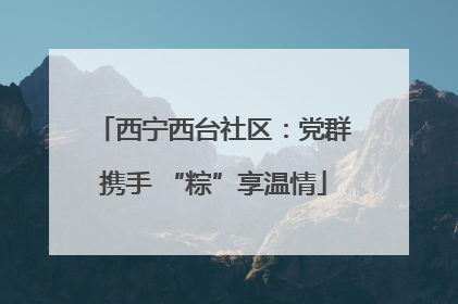 西宁西台社区：党群携手 “粽”享温情