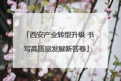 西安产业转型升级 书写高质量发展新答卷
