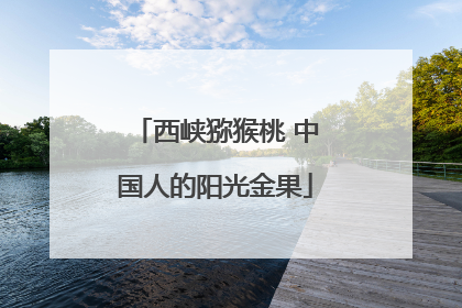 西峡猕猴桃 中国人的阳光金果