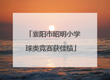 襄阳市昭明小学球类竞赛获佳绩