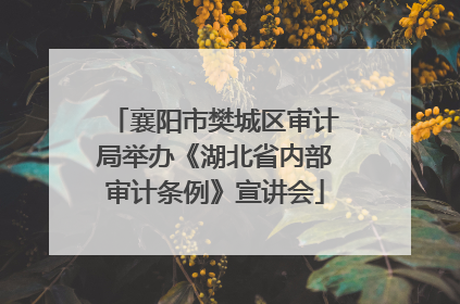 襄阳市樊城区审计局举办《湖北省内部审计条例》宣讲会
