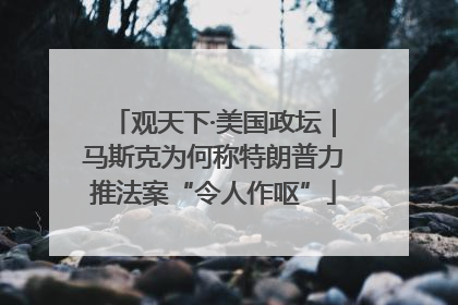 观天下·美国政坛｜马斯克为何称特朗普力推法案“令人作呕”