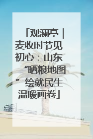 观澜亭｜麦收时节见初心：山东“晒粮地图”绘就民生温暖画卷