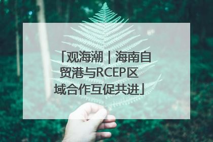 观海潮｜海南自贸港与RCEP区域合作互促共进