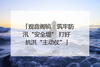 观音阁镇：筑牢防汛“安全堤” 打好抗洪“主动仗”